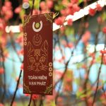 ACBS – Tết Quý Mão 2023